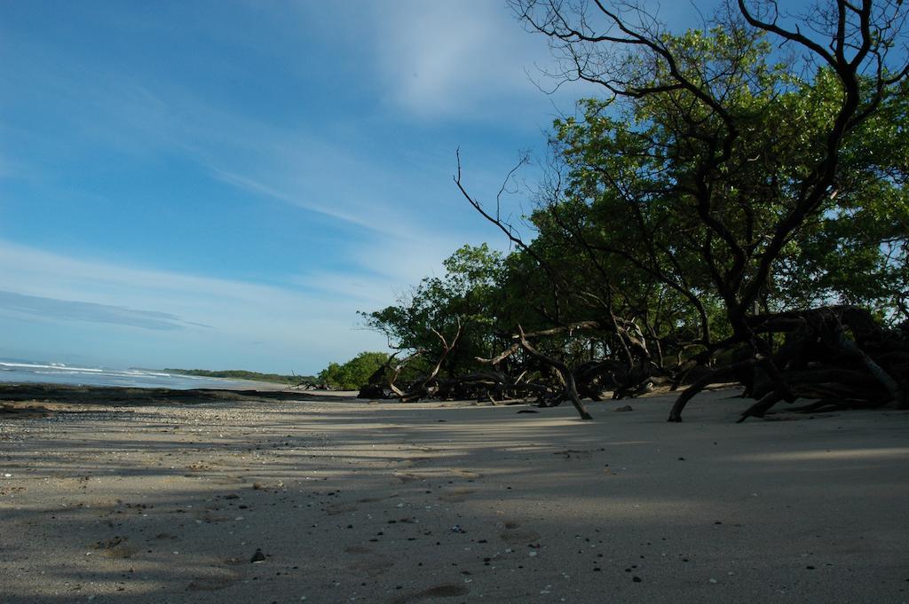 Cabinas Las Olas Playa Avellana Eksteriør billede
