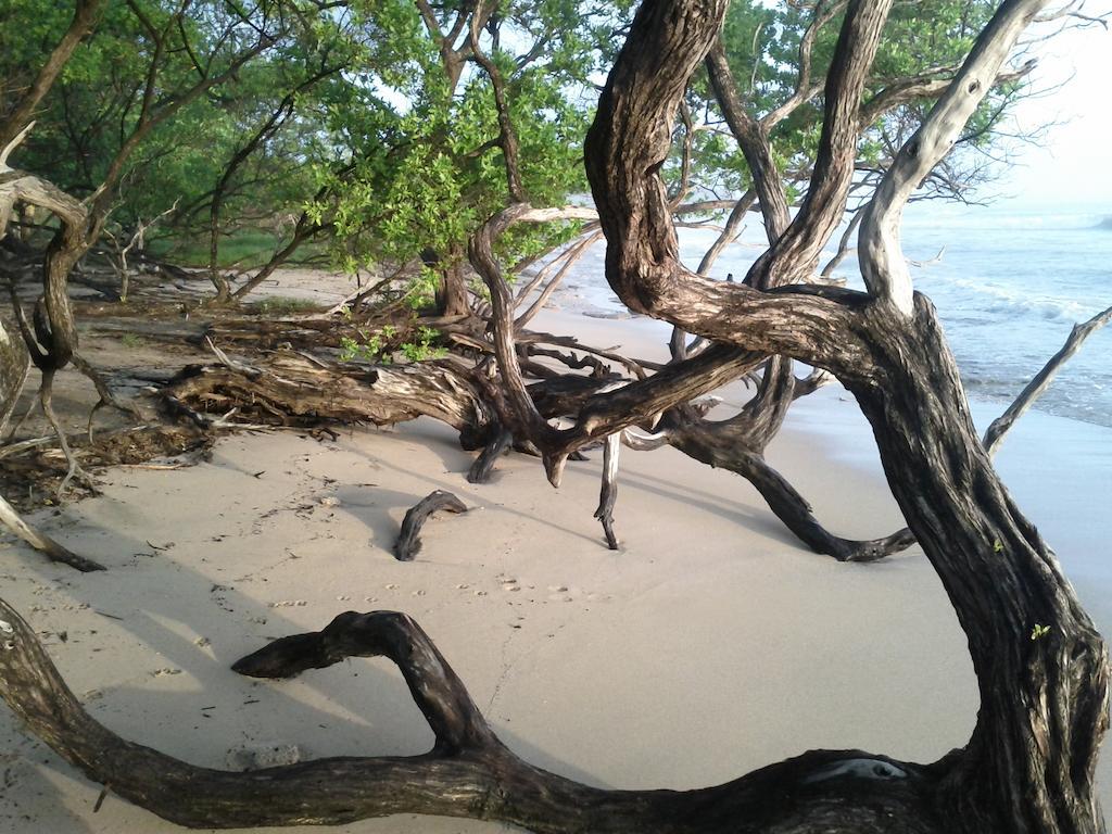 Cabinas Las Olas Playa Avellana Eksteriør billede